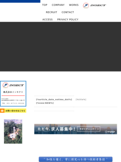 Top Of Insect Top Of Insect